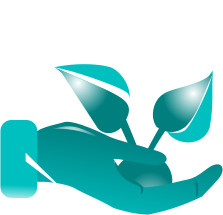 Responsible and sustainable tourism